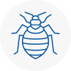Bed Bug Extermination In Sprotbrough