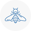 Bee Nest Removal Sprotbrough