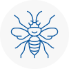 Sprotbrough Hornet Nest Removals