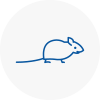 Mice Exterminators In Sprotbrough
