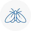 Moth Control Specialists In Sprotbrough