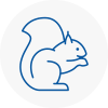 Sprotbrough Rodent Removals